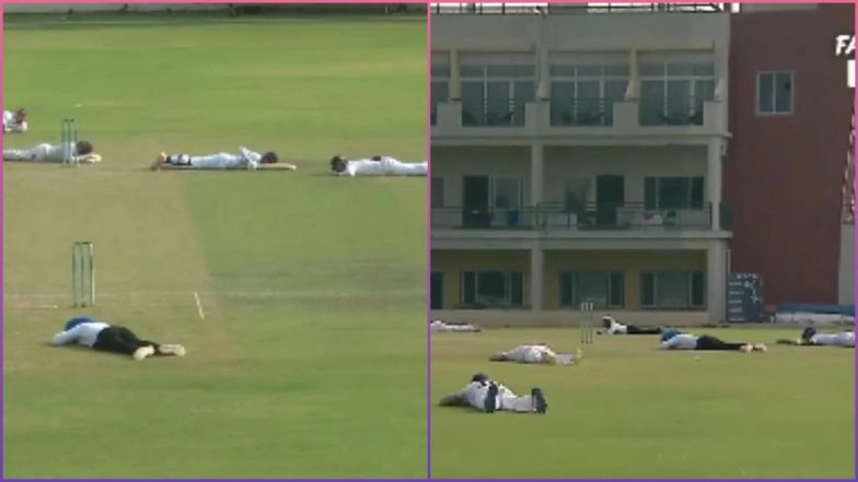 Bee attack in cricket match causes panic: Umpire killed, several players injured