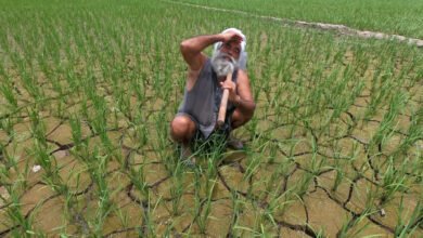 Photo of मार्च की गर्मी बनी ‘खामोश तबाही’ क्या भारत की फसलें जलने वाली हैं