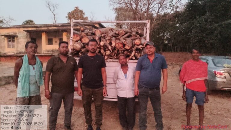 Forest department cracks down on illegal timber smuggling in Bilaspur, pickup vehicle seized