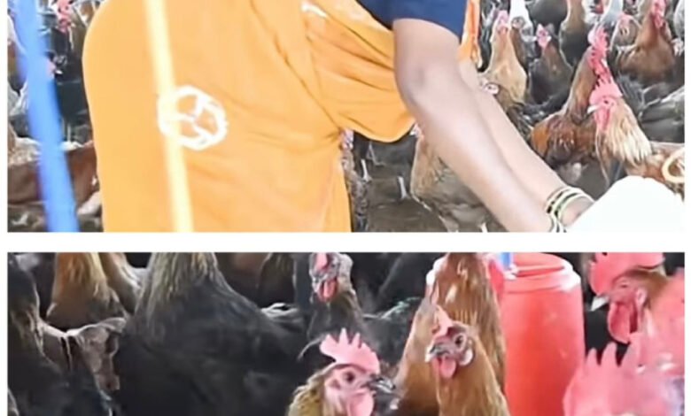 Charra's Yogeshwari became a successful poultry entrepreneur and is now helping others become self-reliant.