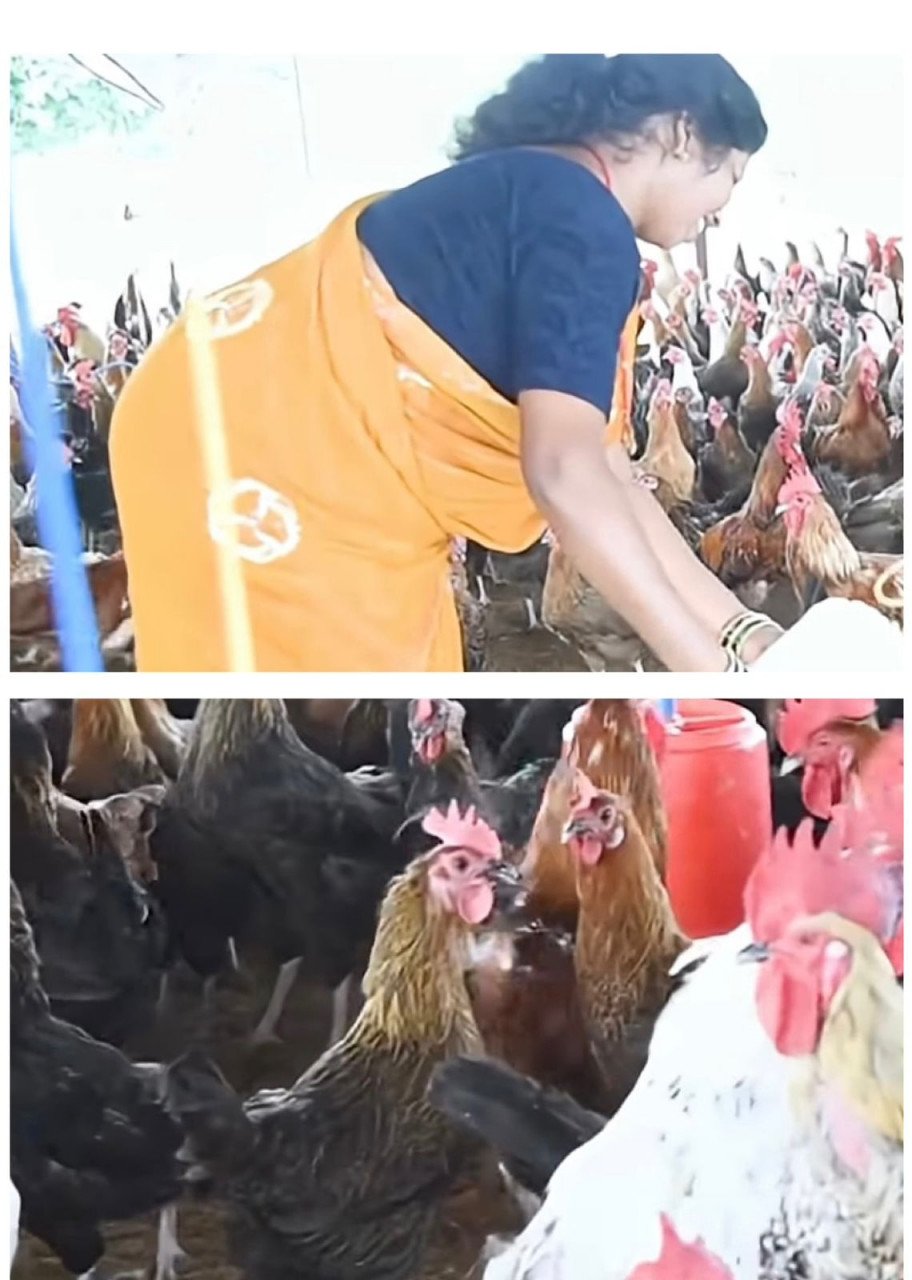 Charra's Yogeshwari became a successful poultry entrepreneur and is now helping others become self-reliant.