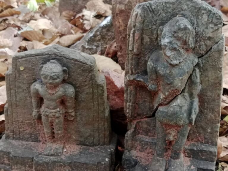 1500 years old history found in Navagarh, government starts investigation