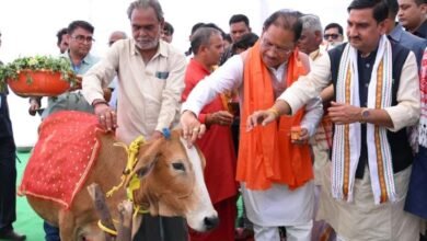 Photo of लाखासार में 25 एकड़ का गौधाम शुरू, बेसहारा मवेशियों को मिलेगा सुरक्षित आश्रय और प्रशिक्षण
