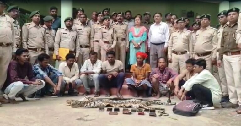 Leopard skin smuggling racket busted: 9 accused arrested in Forest Department crackdown