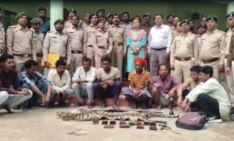 Leopard skin smuggling racket busted: 9 accused arrested in Forest Department crackdown