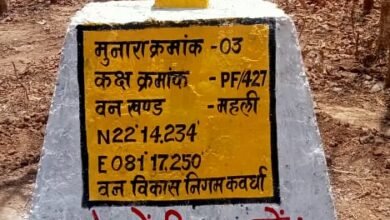 Photo of कवर्धा में 227 मुनारों का निर्माण, वन सीमा अब होगी साफ, अतिक्रमण पर कसेगा शिकंजा