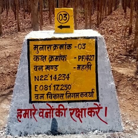 227 towers to be constructed in Kawardha, forest boundaries to be cleared, encroachments to be curbed