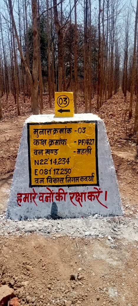 227 towers to be constructed in Kawardha, forest boundaries to be cleared, encroachments to be curbed