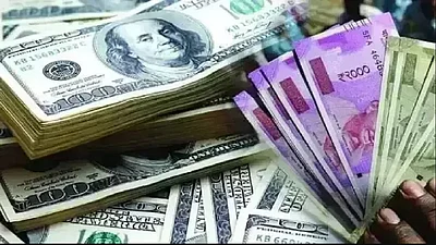 Rupee recovers after record low, but is India's economy on the rocks?