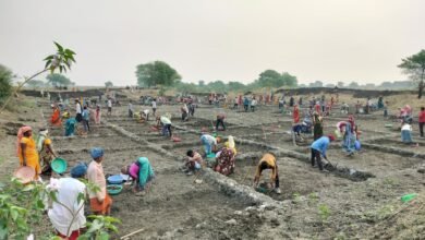 Photo of मनरेगा में कबीरधाम नंबर-1: रोजगार, भुगतान और विकास में बनाया नया रिकॉर्ड