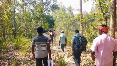 Photo of जगदलपुर में बाघ आंकलन 2026 का फील्ड सर्वे पूरा, डिजिटल तकनीक से जुटाया गया सटीक डेटा