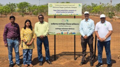 Photo of छत्तीसगढ़ में शुगरबीट खेती का नया प्रयोग, गन्ना के साथ इंटरक्रॉपिंग से बढ़ेगी किसानों की आय