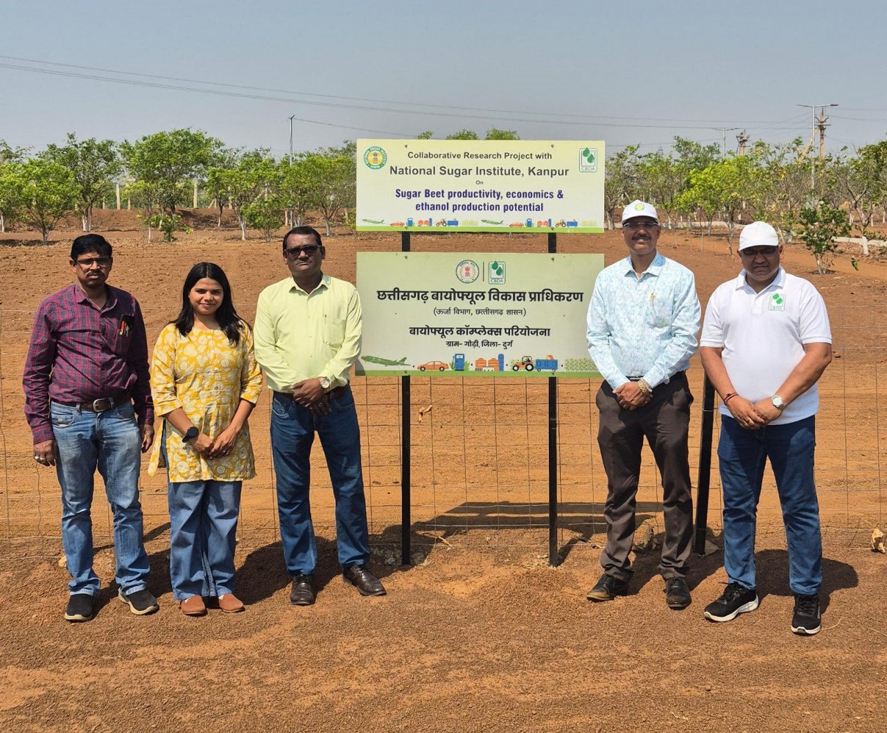 Chhattisgarh is experimenting with sugar beet cultivation, intercropping with sugarcane will boost farmers' income.