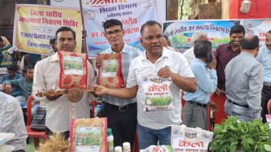 Photo of लैलूंगा का ‘केलो’ जंवाफूल चावल बना पहचान, किसानों की आय बढ़ाने में निभा रहा अहम भूमिका