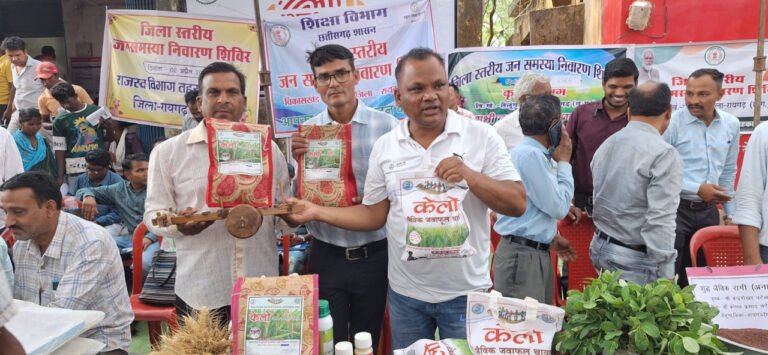 Lalunga's 'Kelo' young rice has become famous, playing an important role in increasing the income of farmers.