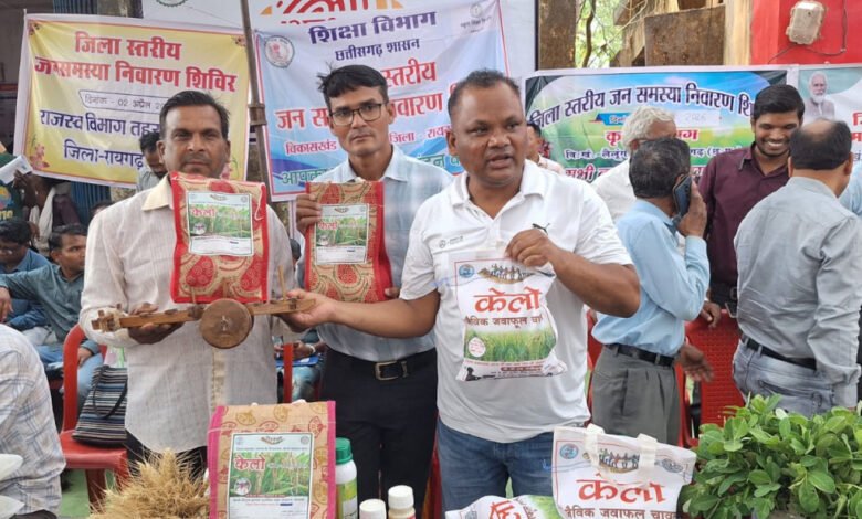 Lalunga's 'Kelo' young rice has become famous, playing an important role in increasing the income of farmers.