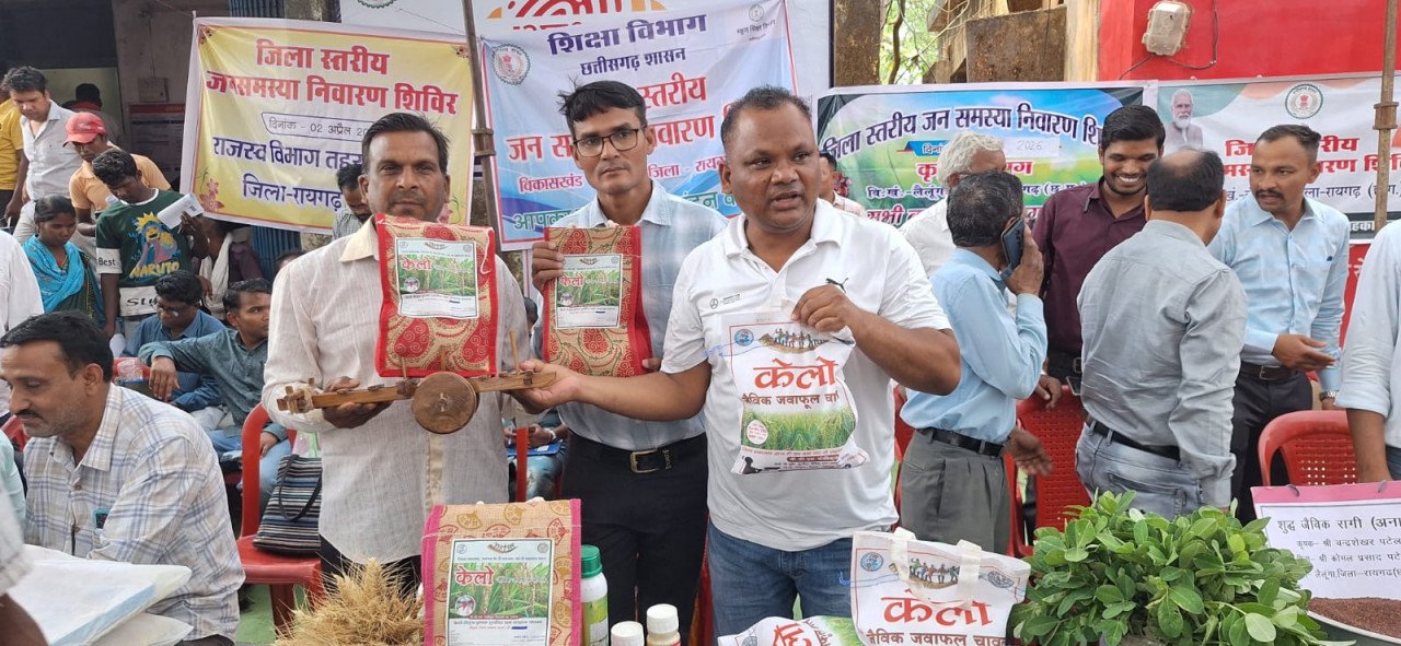Lalunga's 'Kelo' young rice has become famous, playing an important role in increasing the income of farmers.