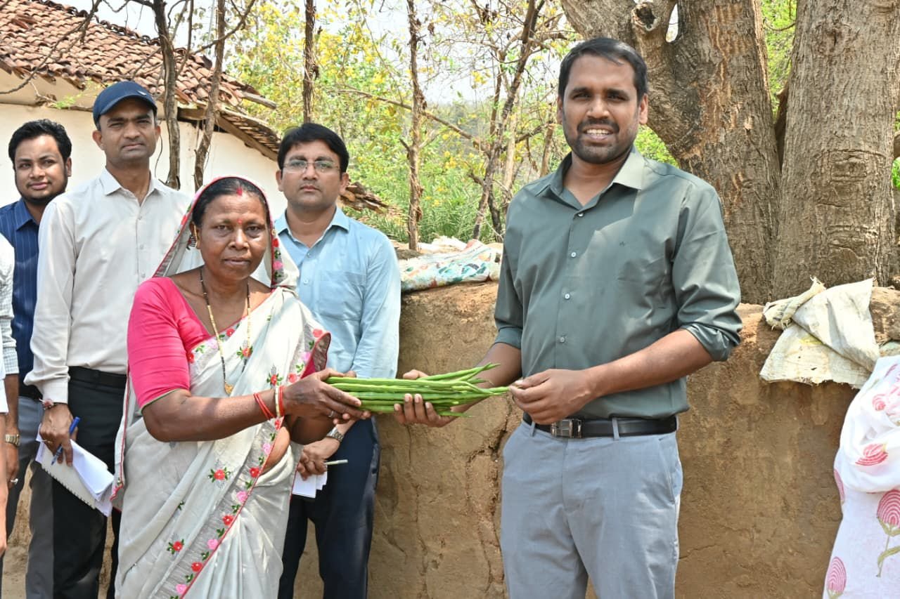 Ragi cultivation changed fortunes: Dhamtari women farmers became an example of self-reliance