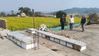 Photo of कम लागत में मीठी कमाई: जशपुर में मधुमक्खी पालन से किसानों की बढ़ रही आय