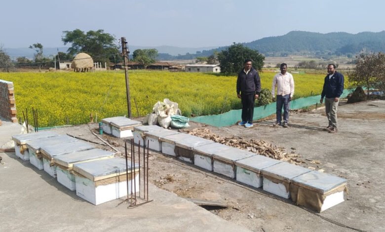 Sweet income at low cost: Beekeeping is increasing farmers' income in Jashpur