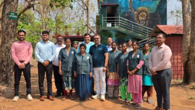 Photo of नक्सल प्रभावित महिलाओं ने बदली तकदीर: सुकमा का तुंगल इको सेंटर बना आत्मनिर्भरता की मिसाल