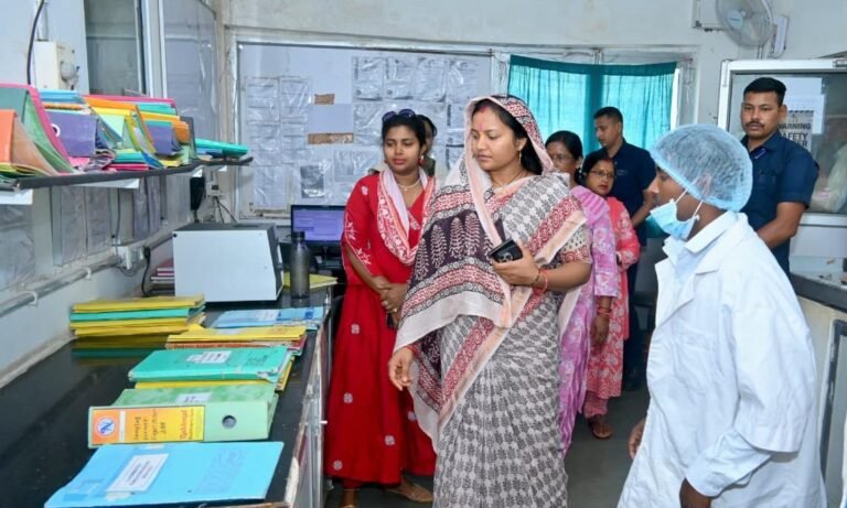Disha Darshan Yojana changed the picture: Women of Surajpur learned a new path to self-employment