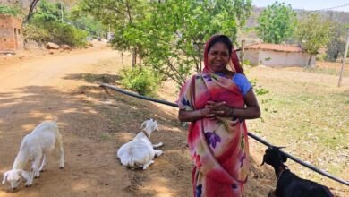 Photo of महतारी वंदन योजना से बदली किस्मत: बकरी पालन ने पहाड़ी कोरवा महिला को बनाया आत्मनिर्भर
