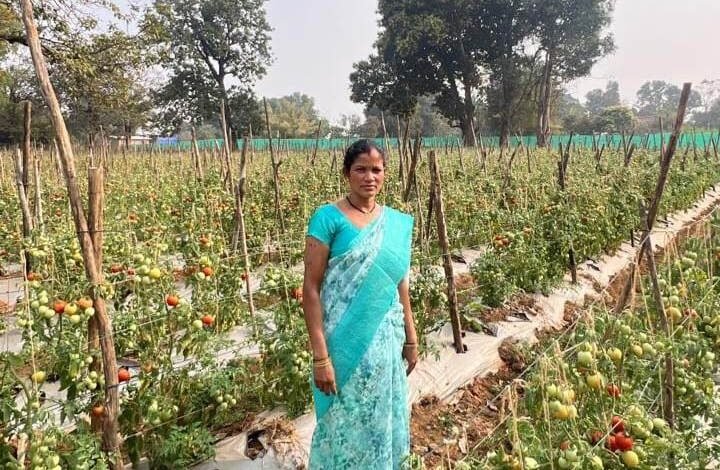Bihan Mission changed the picture: Siday Netam became a successful farmer entrepreneur, setting an example by earning lakhs