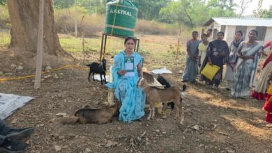 Photo of सरगुजा में ‘छेरी बैंक’ मॉडल का कमाल: बिना नकद कर्ज, बकरियों से आत्मनिर्भर बन रहीं महिलाएं