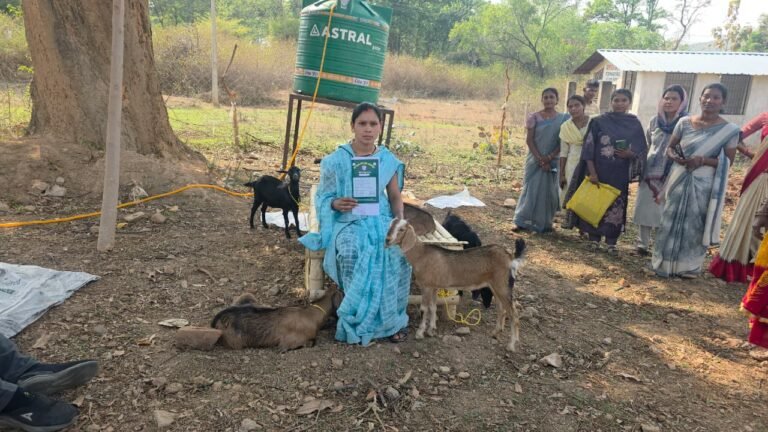 The 'Chheri Bank' model in Surguja is working wonders: Women are becoming self-reliant with goats, without cash loans.