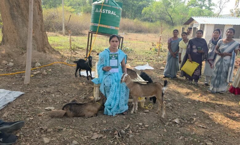 The 'Chheri Bank' model in Surguja is working wonders: Women are becoming self-reliant with goats, without cash loans.