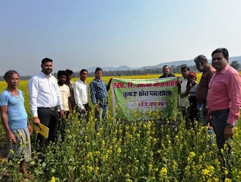 Farmer's fortune changed with ATMA scheme: 25 thousand profit from advanced mustard cultivation