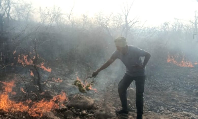 Hunting by setting fire to forests, or a systemic failure? The shocking truth from Bastar