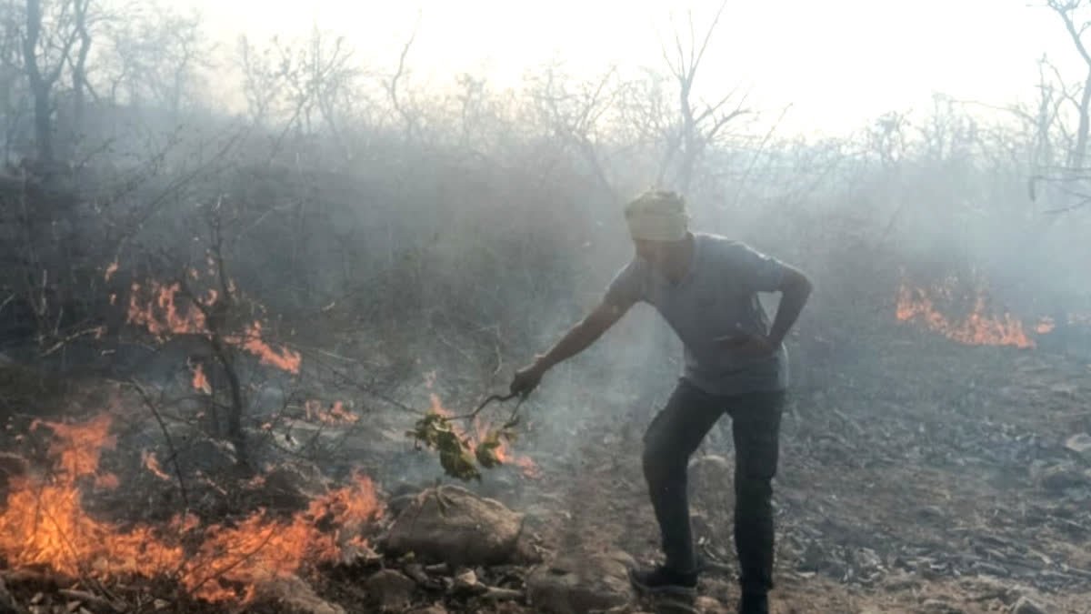 Hunting by setting fire to forests, or a systemic failure? The shocking truth from Bastar