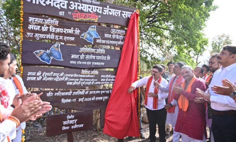 Bhoramdev Jungle Safari launched: Chhattisgarh gets a new eco-tourism hotspot