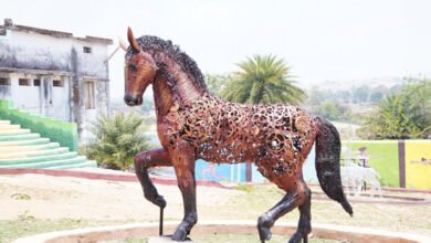 Photo of जशपुर का इको पार्क बना मिसाल, कबाड़ से रची गई खूबसूरती की नई दुनिया