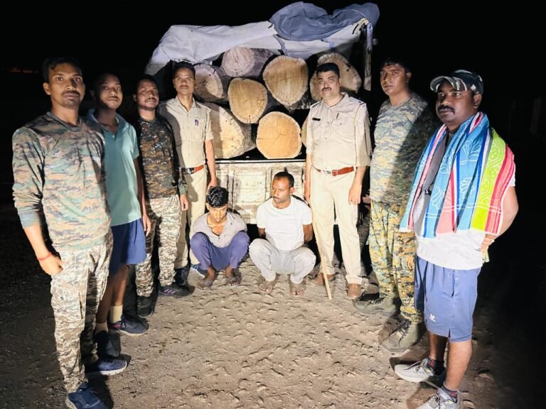 Forest department cracks down on sal wood smuggling in Balrampur, pickup seized, two accused sent to jail