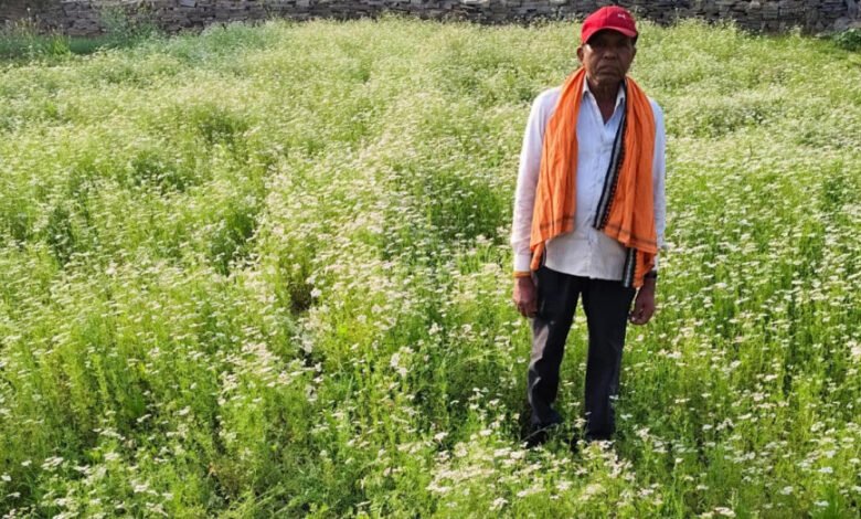 From paddy to coriander: Achridih farmer Ratiram Patel has increased his income and set an example.