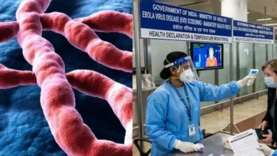 Photo of Ebola का खौफ इतना बढ़ा कि भारत-अफ्रीका समिट तक टालनी पड़ी! क्या दुनिया फिर महामारी की दहशत में?