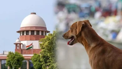 Photo of सुप्रीम कोर्ट सख्त: आवारा कुत्तों को संस्थानों में छोड़ना अब नहीं चलेगा