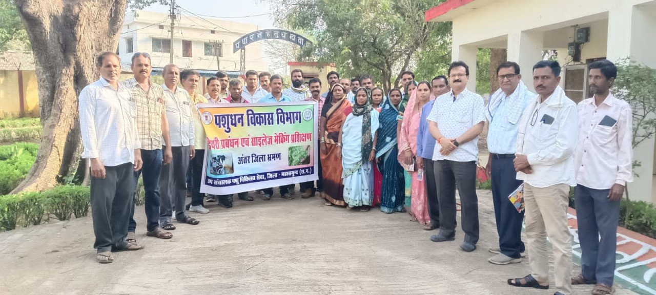 Dairy revolution in Mahasamund: 34,000 litres of milk daily is increasing farmers' income