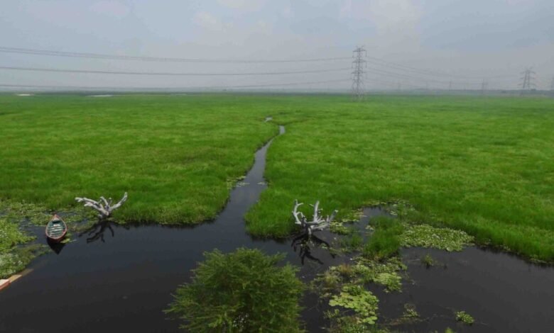 India gets its 100th Ramsar site, a major achievement in environmental protection