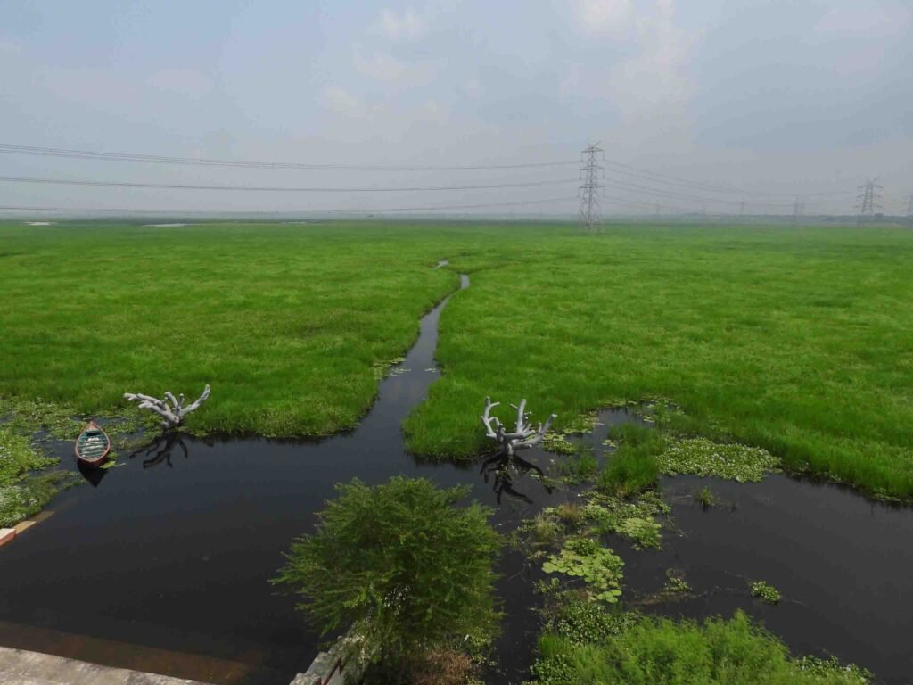 India gets its 100th Ramsar site, a major achievement in environmental protection