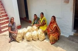 Women of Nankatthi script a new story of self-reliance through the papad industry.