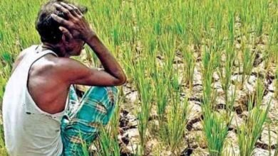 Photo of भारत में मानसून की रफ्तार धीमी, किसानों की बढ़ी चिंता