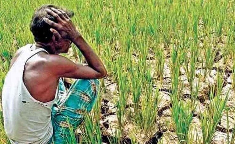 Monsoon pace slows down in India; farmers' concerns rise.