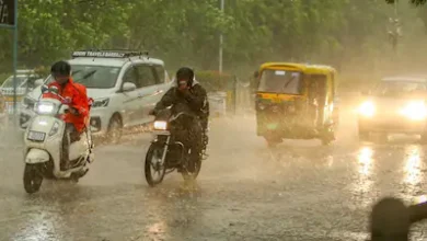 Photo of राज्य में मानसून ने पकड़ी रफ्तार, कई जिलों में भारी बारिश का अलर्ट