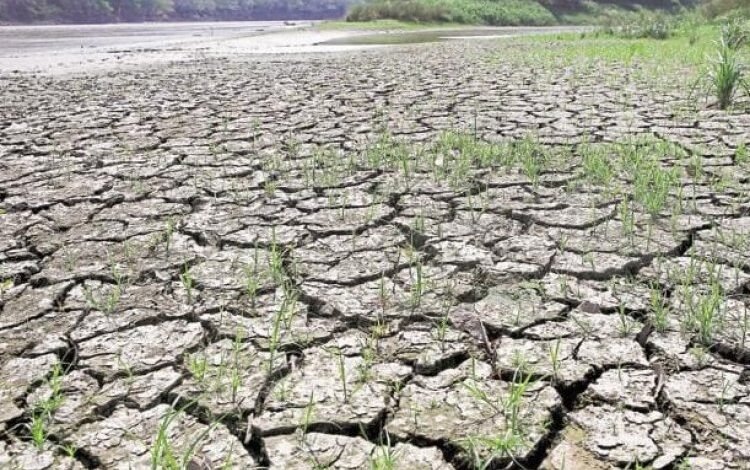 El Nino threatens Asia, threatening food production