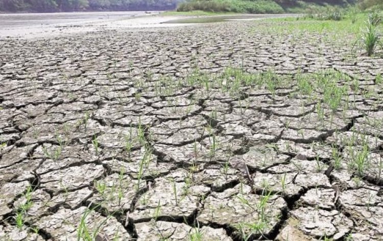 El Nino threatens Asia, threatening food production