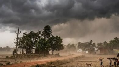 Photo of मानसून से पहले झमाझम बारिश, कई जिलों में अलर्ट जारी